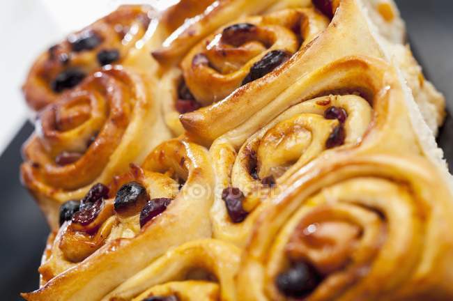 Closeup view of raisin and cranberry whirls — Stock Photo