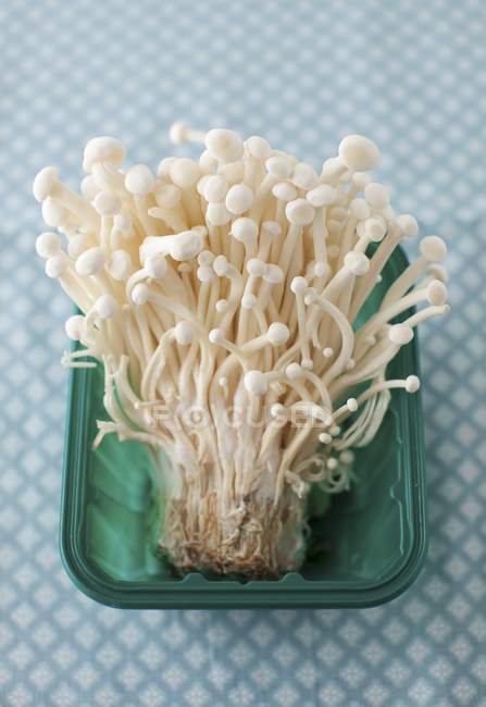 Cogumelos Enoki em um recipiente de plástico — Fotografia de Stock