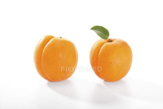 Frische Aprikosen mit Blatt — Stockfoto