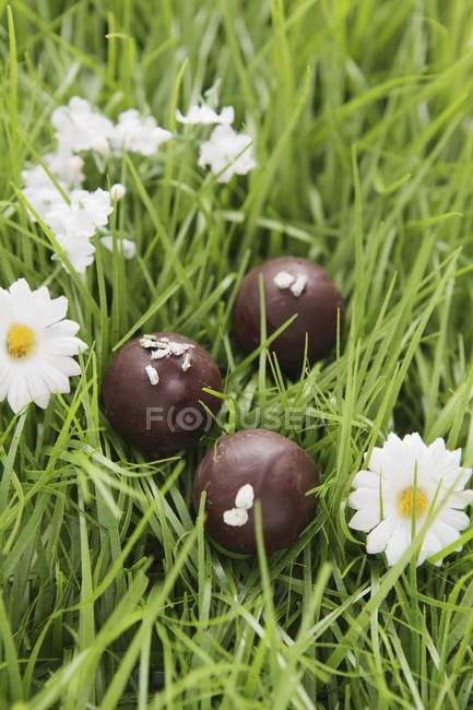 Assorted chocolates in artificial grass — Stock Photo