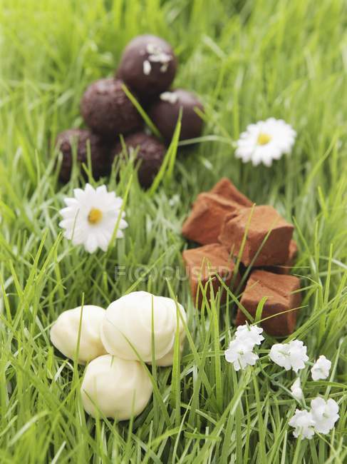 Chocolates variados em grama artificial — Fotografia de Stock