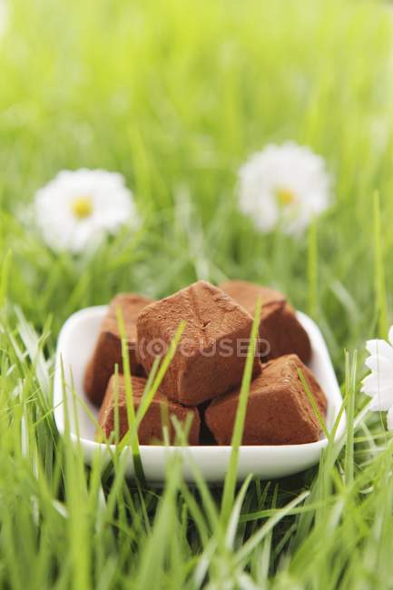 Трюфели из белого шоколада — стоковое фото