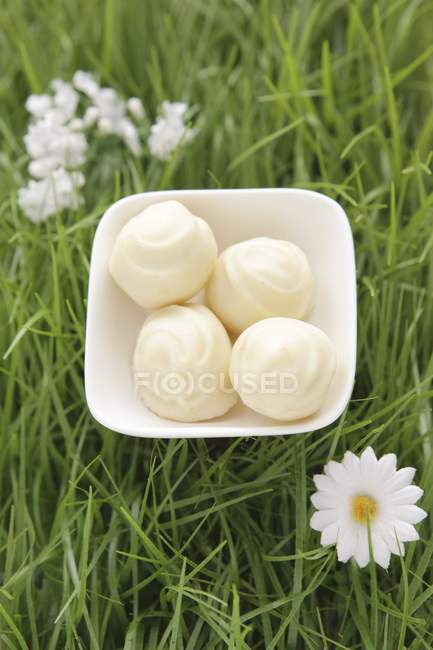 White chocolate truffles — Stock Photo