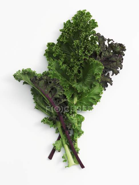 Fresh Leaves of kale — Stock Photo