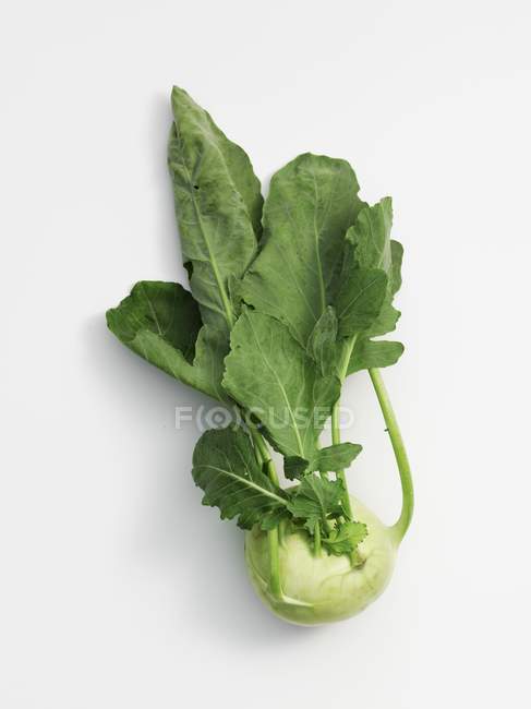Chou-rave frais cueilli avec des feuilles — Photo de stock