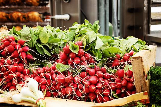 Fresh Radishes in crate — Stock Photo