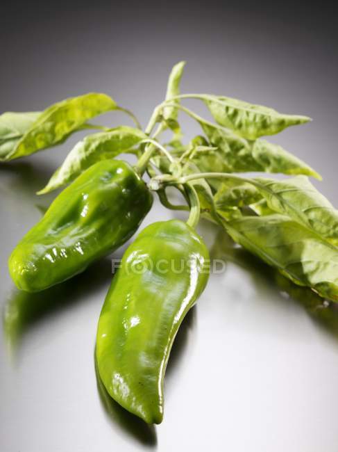 Chiles verdes frescos - foto de stock