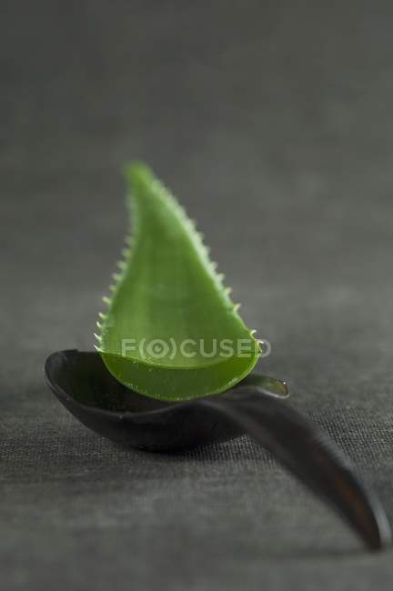Aloe vera leaf on a wooden spoon — Stock Photo