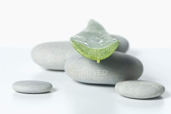Aloe vera leaf on pebbles — Stock Photo