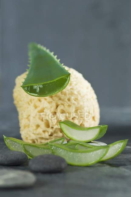Sliced aloe vera leaf — Stock Photo