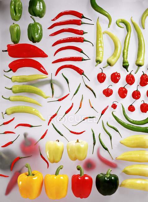 Diferentes tipos de pimentas e pimentas sobre a superfície branca — Fotografia de Stock