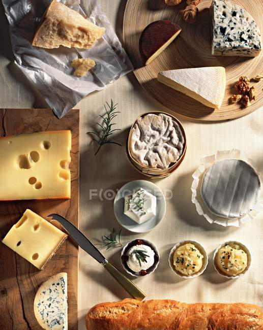 Tipos surtidos de queso - foto de stock