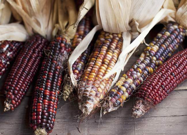 RAW Індійська кукурудзи — стокове фото