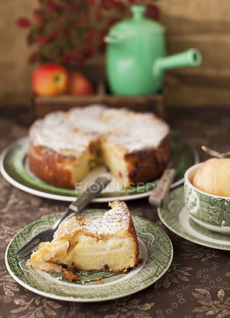 Крупный план яблочного торта с клюквой и изюмом на тарелках — стоковое фото