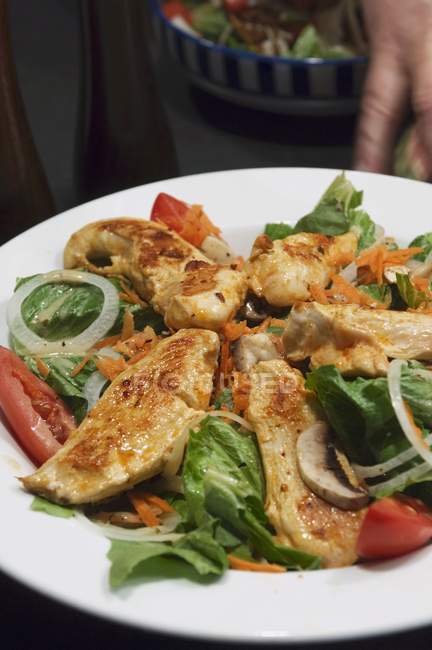 Vue rapprochée de Poulet Salade tendre sur assiette blanche — Photo de stock