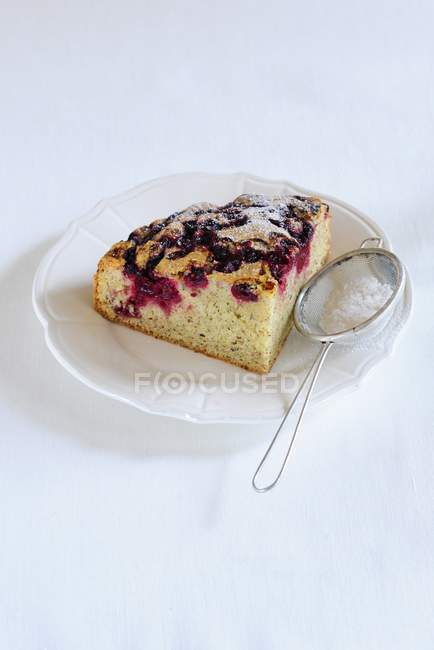 Gâteau aux myrtilles saupoudré de sucre glace — Photo de stock