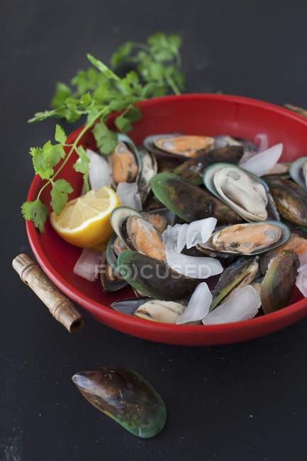 Green mussels with lemon and ice — Stock Photo