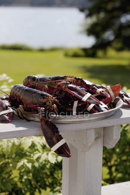 Daytime view of fresh lobsters on platter outdoors — Stock Photo