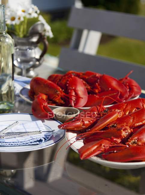 Vue rapprochée des homards cuits sur des plateaux sur la table extérieure — Photo de stock