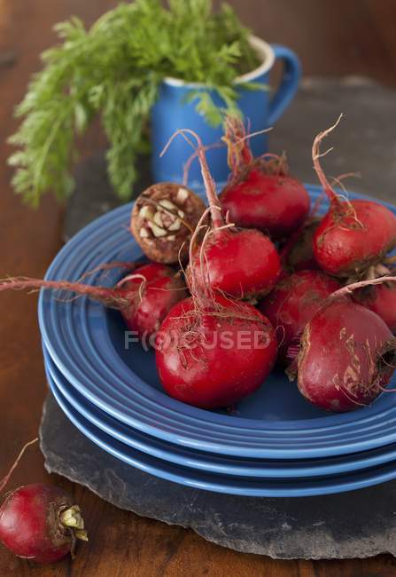 Beets on stacked blue plates — Stock Photo