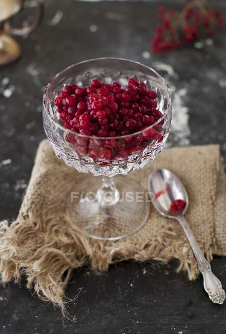 Lingonberries in Crystal Cup — Stock Photo