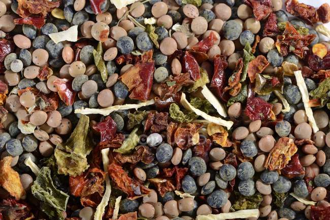 Вид крупным планом смеси чечевицы, сушеных овощей и трав — стоковое фото