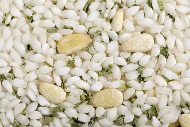 Rice with pine nuts — Stock Photo