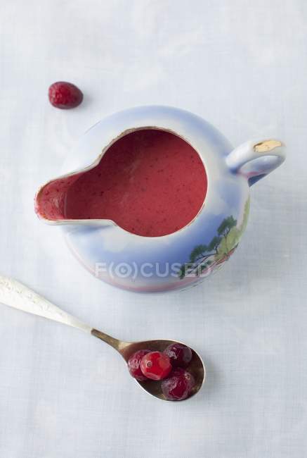 Vista close-up de cranberry Vinaigrette em um jarro — Fotografia de Stock