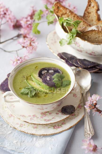 Schüssel Frühlingsgrüne Suppe mit Avocado — Stockfoto