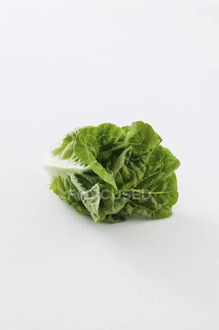 Свіжий салат-латук — стокове фото