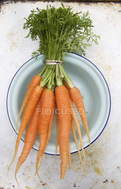 Ramo de zanahorias frescas - foto de stock