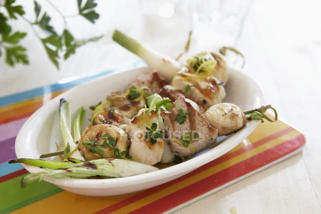 Chicken kebabs with fennel in white plate — Stock Photo