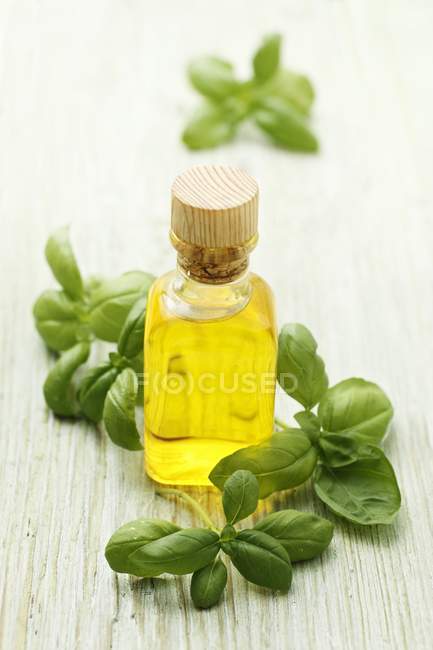Fresh basil and olive oil — Stock Photo