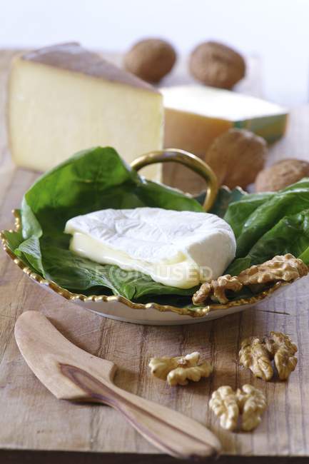 Твердый сыр и грецкие орехи — стоковое фото