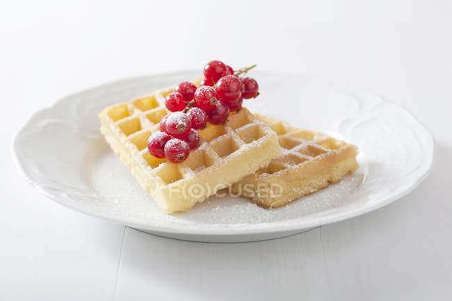 Waffles with redcurrants and  sugar — Stock Photo