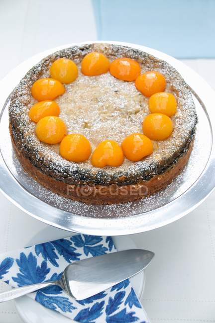 Gâteau aux abricots et graines de pavot — Photo de stock