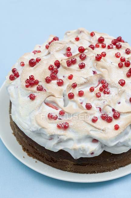 Redcurrant cake with meringue top — Stock Photo
