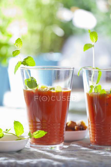 Spanische Gazpacho kalte Tomatensuppe — Stockfoto
