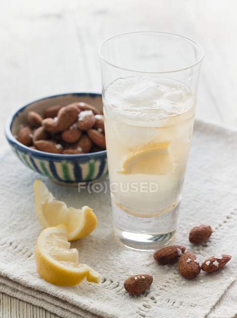 Nahaufnahme von weißem Portwein und Tonikum mit gesalzenen Mandeln und Zitronenkeilen — Stockfoto