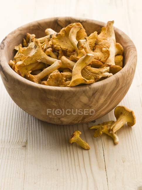 Fresh Wild Mushrooms in bowl — Stock Photo