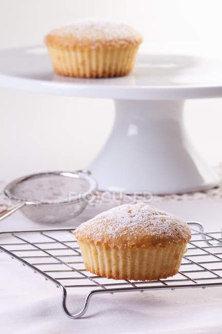 Muffins saupoudrés de sucre glace — Photo de stock