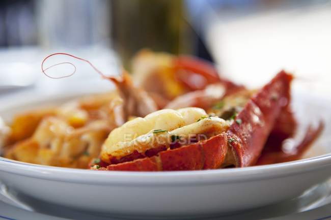Closeup view of lobster dish in white bowl — Stock Photo