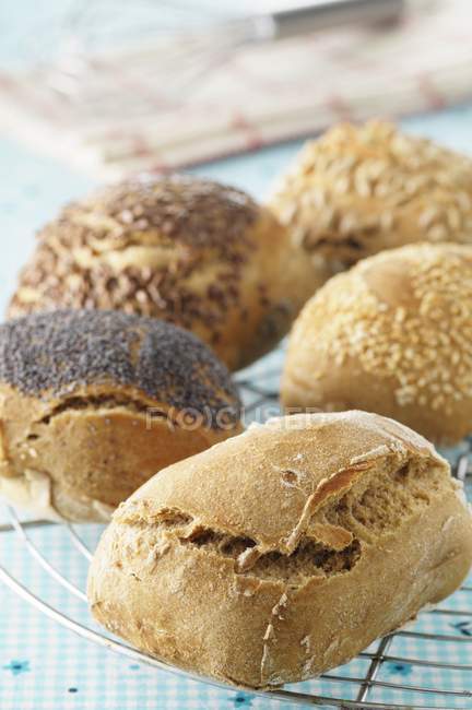 Freshly baked rolls — Stock Photo