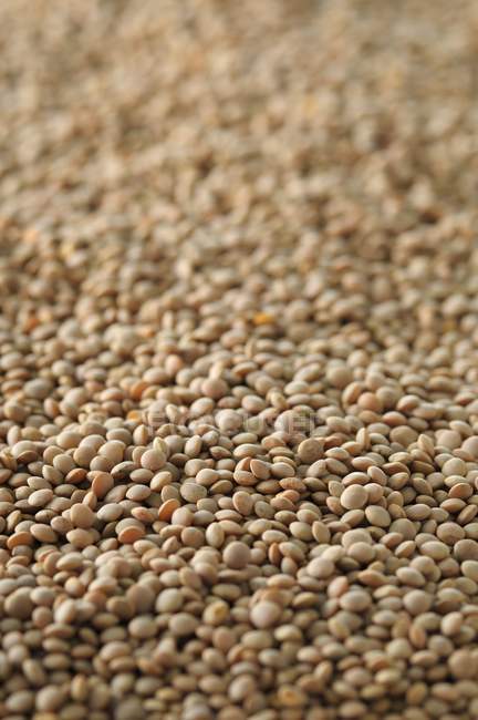 Closeup view of lots of dry lentils — Stock Photo