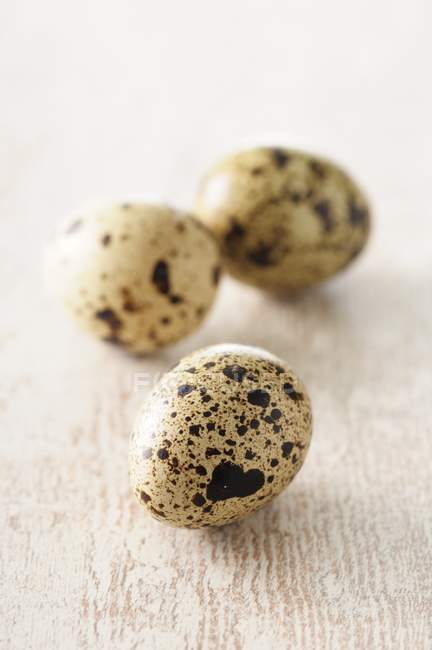 Huevos frescos de codorniz - foto de stock