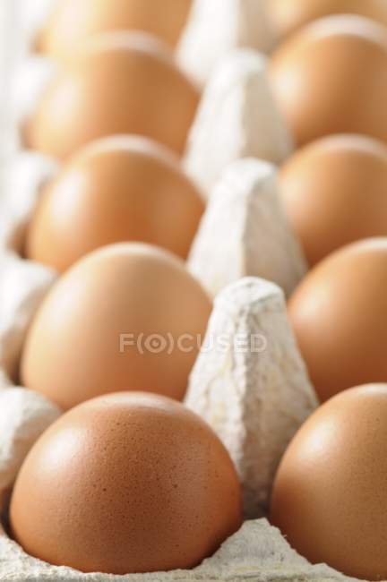 Коричневые куриные яйца в коробке — стоковое фото