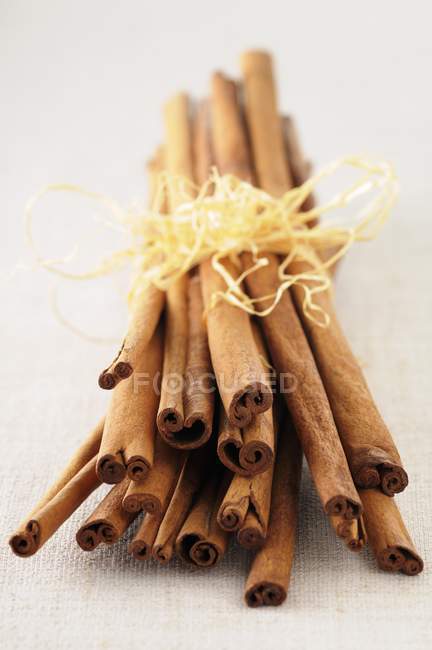 Cinnamon Sticks Bundled — Stock Photo