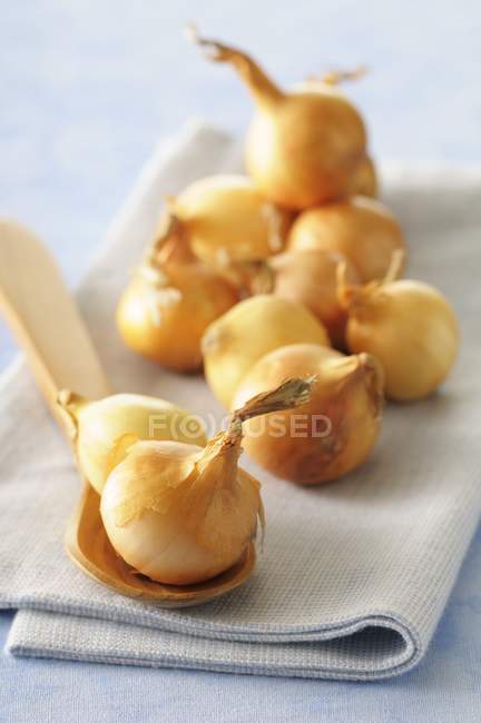 Cipolle su un tovagliolo e un cucchiaio — Foto stock