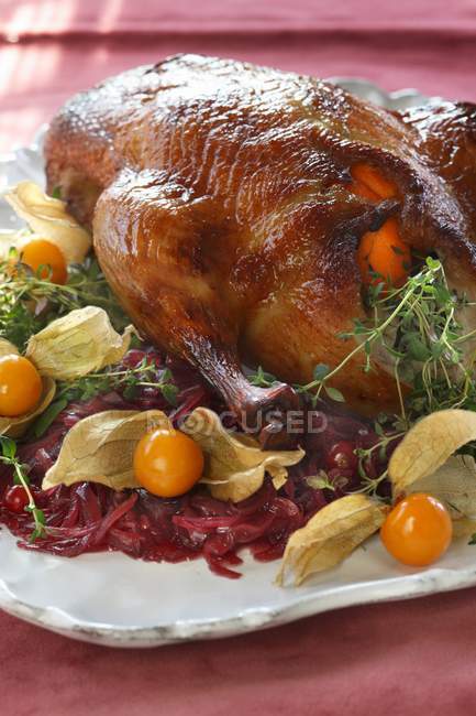 Stuffed duck with tangerines and onions — Stock Photo