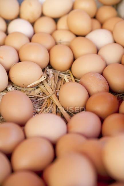 Fresh organic eggs — Stock Photo